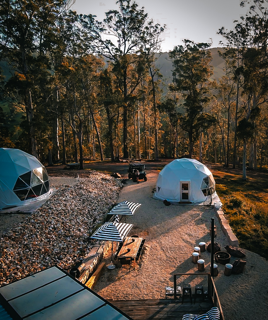 Treetop Domes