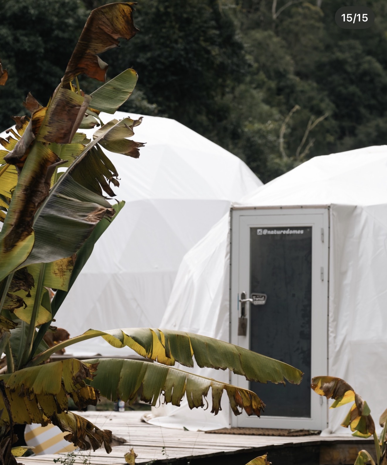 Green Retreat 1